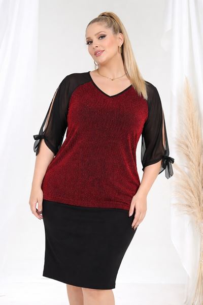 Immagine di CURVY GIRL PARTY TOP WITH CHIFFON SLEEVE